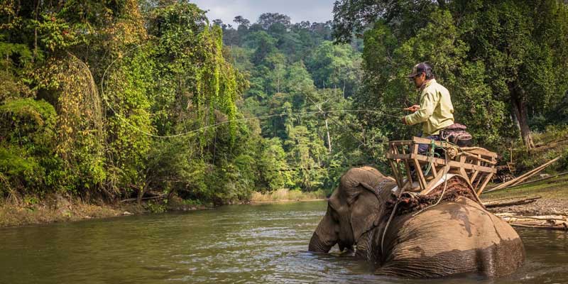 casting-from-elephants--fly-fishing-thailand