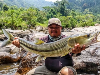 fly-fishing-in-laos - S.E. Asian Pike?