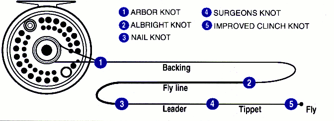fly-fishing-knots-diagram