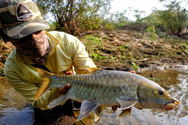 Freestone rivers - fly-fishing in Thailand