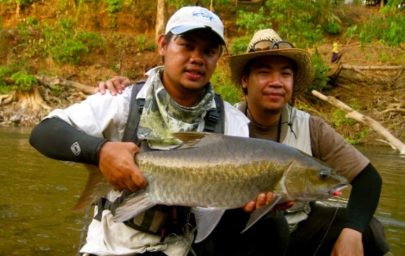 Mahseer fly fishing in Mae Hong Son province, Thailand
