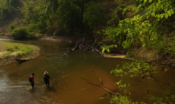 Mahseer - stream fishing in Thailand