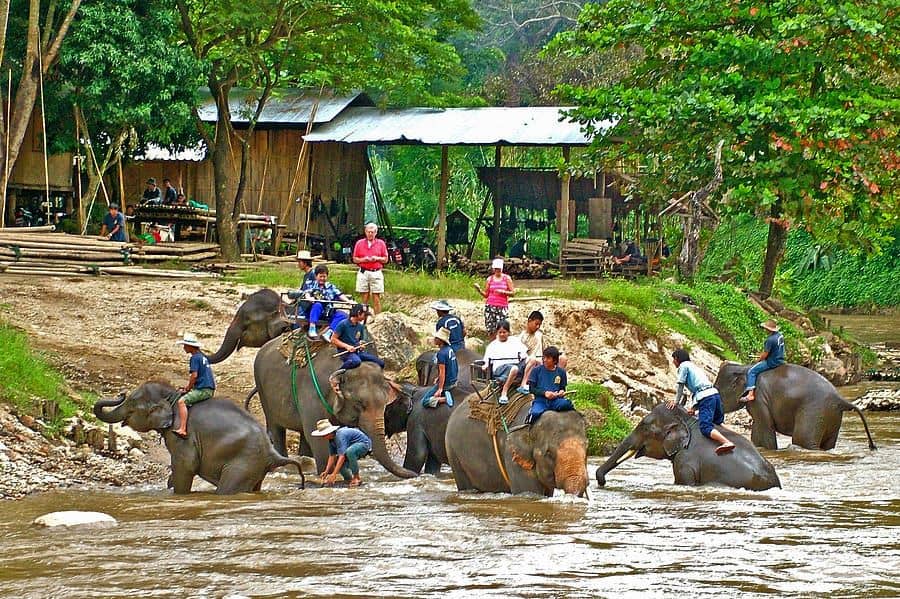 Elephant camp - Mae Taeng, Chiang Mai