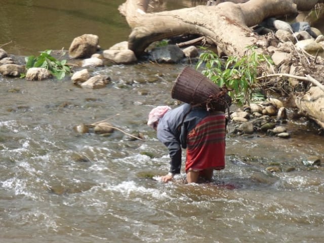 karen-woman-foraging-in-stream